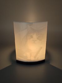 Lithophane in PLA Jet Black und Pearl White