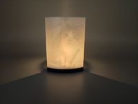 Lithophane in PLA Jet Black und Pearl White